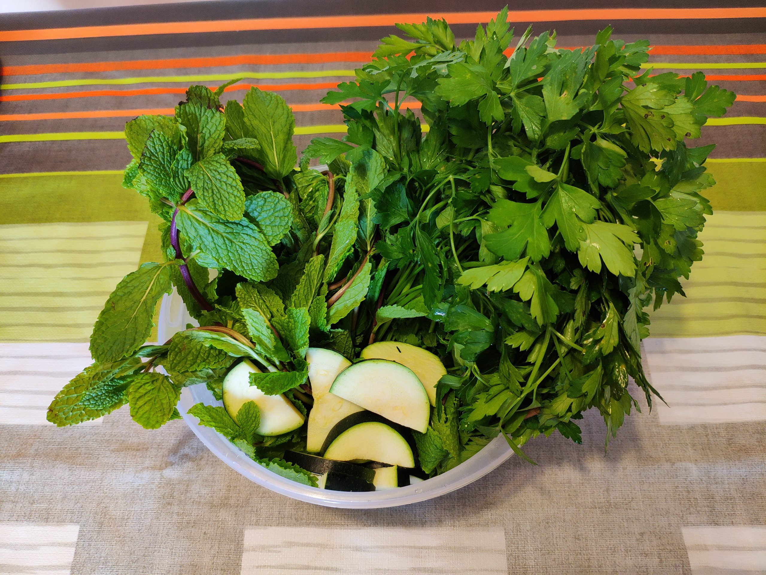 receta casera par el mal alineto de mi perro