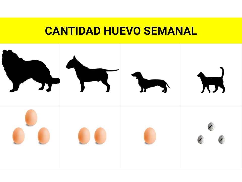 como alimentar a un perro sin pienso