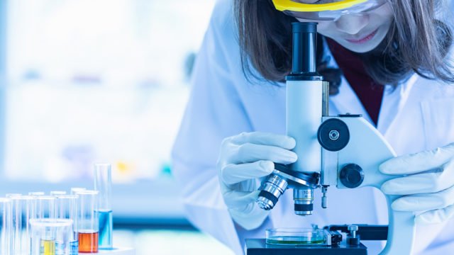 por que mi veterinario no le gusta la dieta barf